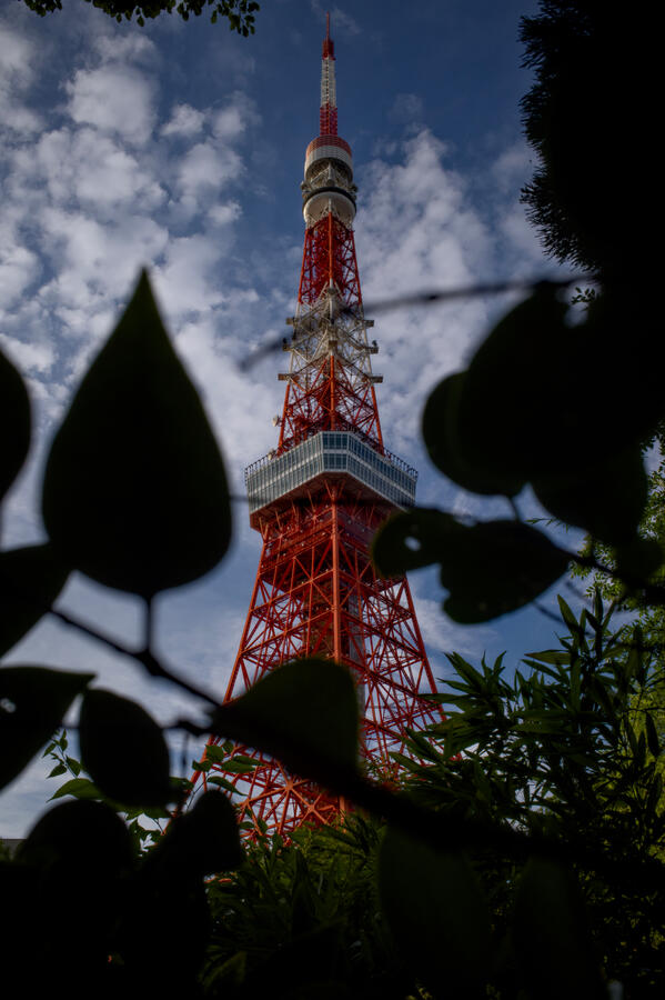 Untitled Untitled